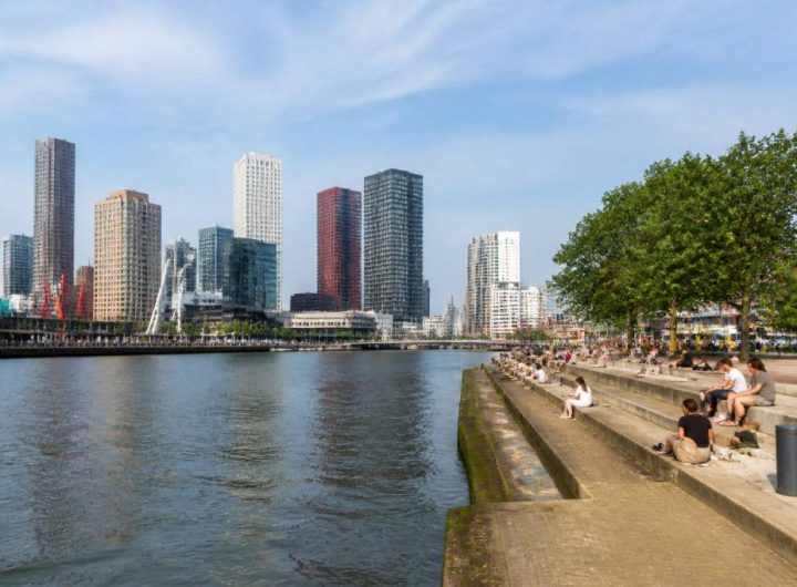Playa Rotterdam in de kijker: waarom deze locatie opvalt